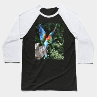 Macaw Baseball T-Shirt